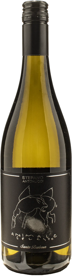 Santa Barbara Animale Celeste Sauvignon 2025 - Bottle Hero