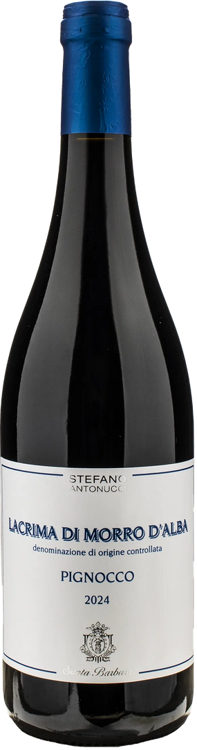 Santa Barbara Lacrima di Morro d'Alba Pignocco 2024 - Bottle Hero