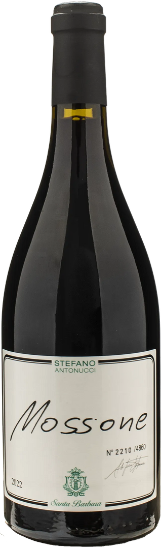 Santa Barbara Stefano Antonucci Mossone Merlot 2022 - Bottle Hero