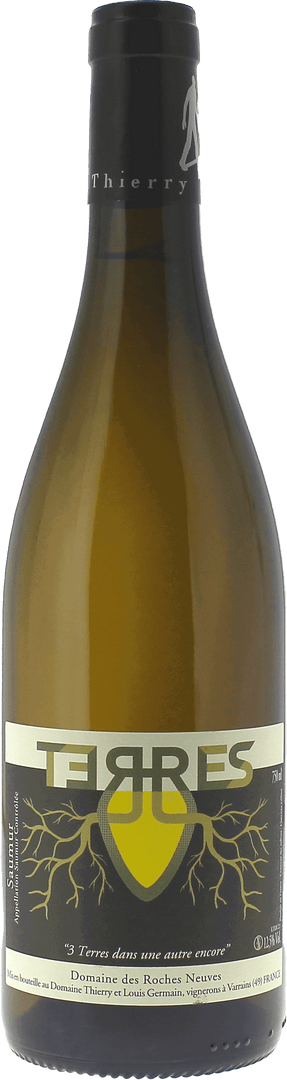 Saumur Terres -Amphore Blanc Domaine Des Roches Neuves Saumur, 2023 - Bottle Hero