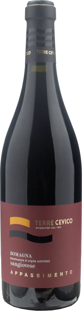 Terre Cevico Romagna Sangiovese Appassimento 2021 - Bottle Hero