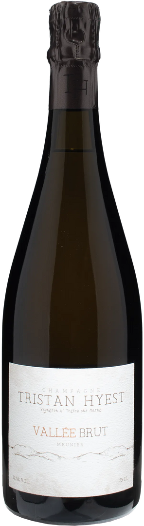 Tristan Hyest Champagne Vallee Brut - Bottle Hero