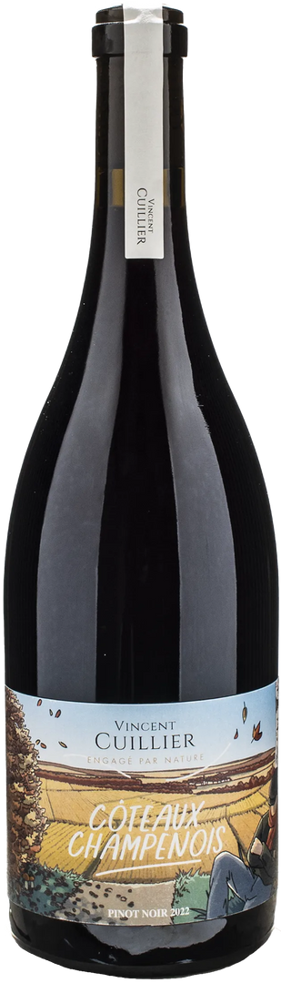 Vincent Cuillier Coteaux Champenoise Rouge Pinot Noir 2022 - Bottle Hero