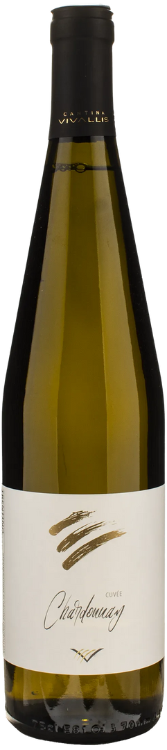 Vivallis Cuvee Chardonnay 2023 - Bottle Hero