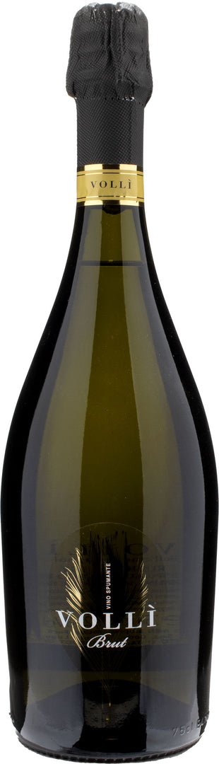 Volli Rubicone Spumante Bianco Brut - Bottle Hero